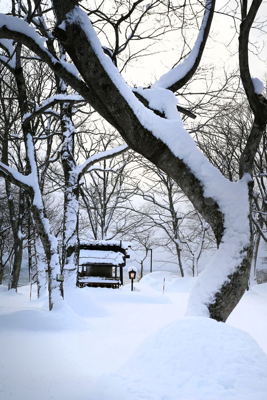 Traditional Japanese wooden temple enveloped by fog
